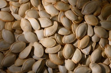 Güneşli balkabağı tohumları etrafa saçılmış, eşsiz şekillerini ve yüzeylerini gözler önüne sererek doğal bir renkli duvar halısı oluşturuyorlar..