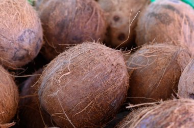 Canlı bir pazarda taze hindistan cevizleri üst üste yığılmış. Yeryüzü dokuları ve kırsal güzellik yayıyor. Güneş ışığı sert yüzeylerinde dans ederek sıcak ve davetkar bir atmosfer yaratır..