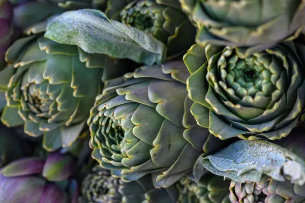 Taze hasat edilmiş enginarlar karmaşık katmanlarını ve dokularını sergiliyorlar, hareketli bir pazarda sabah güneşinin tadını çıkarıyorlar, geçen herkesi cazibelerine hayran olmaya davet ediyorlar..
