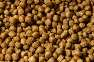 Hayvansal besin için zengin renklerini ve desenli yüzeylerini gösteren evcil hayvan maması topaklarının yakın görüntüsü.