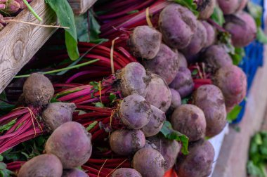 Canlı kırmızı bluzlu taze, toprak pancarlar öğleden sonra kalabalık bir çiftçi pazarında sergileniyor. Zengin renkler ve dokular doğanın cömertliğinin güzelliğini gösteriyor..