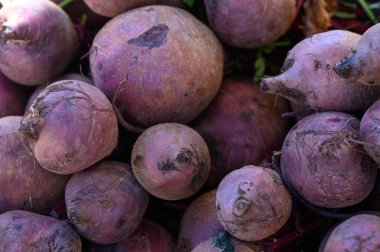 Taze toplanmış mor kök sebzelerle dolu sepetler canlı bir açık hava pazarında sıcak güneşin altında duruyor. Çiftçiler ürünlerini sergiliyorlar, müşterileri yerel tatları keşfetmeye davet ediyorlar..