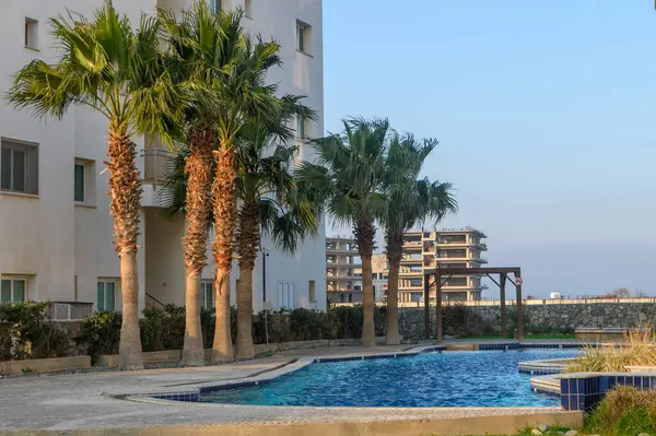 Huzurlu bir yüzme havuzu palmiye ağaçlarının arasına kurulur ve alacakaranlıkta canlı bir toplulukta huzurlu bir geri çekilme sergilerler..