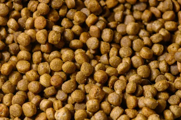 Hayvansal besin için zengin renklerini ve desenli yüzeylerini gösteren evcil hayvan maması topaklarının yakın görüntüsü.