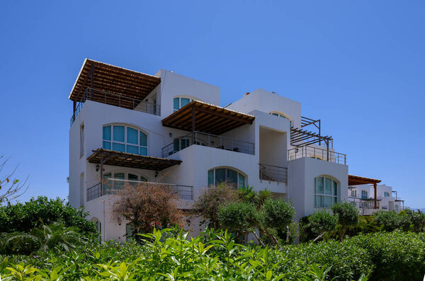 Современные белые медведи в прибрежном сообществе