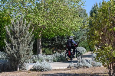 Bir bisikletçi, parlak mavi gökyüzünün altında canlı ağaçlar ve çalılarla çevrili iyi korunan bir yol boyunca sakin bir yolculuktan zevk alır. Barışçıl atmosfer dışarıdaki macerayı davet ediyor..