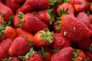 Parlak kırmızı çilekler hareketli bir pazarda canlı bir görüntü yaratarak tazeliklerini ve doğal tatlılıklarını sergiliyorlar. Alışverişçiler renkli tezgahları keşfederken mevsimin cömertliğinden zevk alırlar..