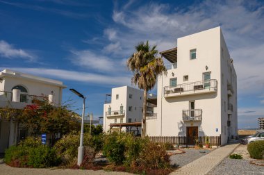 Şık mimari, güneşli bir sahil ortamında tropikal yapraklarla birleşir..