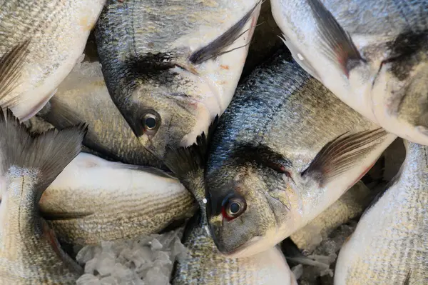 Çeşitli balık türleri, şafak vakti yoğun bir pazar atmosferiyle çevriliyken pırıl pırıl pullarını ve canlı renklerini sergilerler..