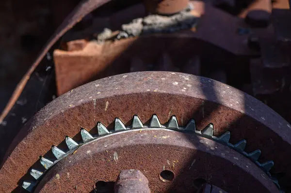 Güneş ışığı, eski bir atölyedeki yıpranmış viteslere düşer ve karmaşık ayrıntılarını ortaya çıkarır. Atmosfer nostalji ve bir zamanlar gelişen endüstrinin kalıntılarıyla dolu..