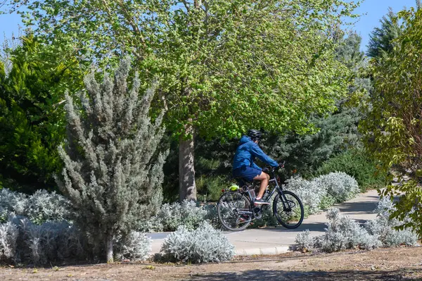 Huzurlu bir parktaki dolambaçlı bir yolda bisiklet süren bir insan, sıcak güneş ışığının ve yemyeşil yeşilliğin tadını çıkarıyor. İlkbahar atmosferi sakin yolculuğu artırır..