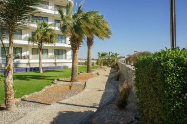 Okyanus kıyısında sakin bir yürüyüşün tadını çıkar, bereketli palmiyeler ve sakin manzaralarla çevrili..