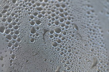 Küçük çiy damlaları serin bir yüzeyde toplanır, yumuşak sabah ışığını yansıtır ve doğanın karmaşık sanatını gözler önüne serer..