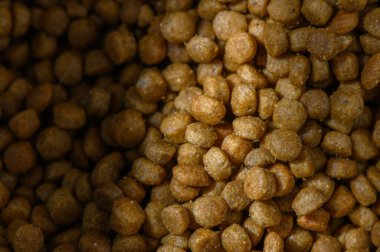 Kahverengi köpek mamaları bir kasede oturur, yumuşak ışık altında parıldar, yemek saatinde ya da atıştırma saatinde evcil hayvanları eğlendirmeye hazırlanır..