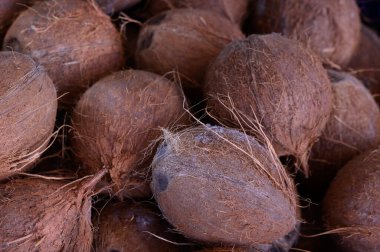 Kaba, kahverengi kabuklu hindistan cevizleri doğal dokularını ve enerjik enerjilerini sergiliyor. Çiftçi pazarı hevesli satıcıların ve canlı müşterilerin sesleriyle uğulduyor..