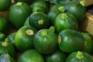 Canlı kabaklar ustalıkla istiflenmiş, parlak ciltlerini ve piyasada eşsiz yuvarlak şekillerini sergiliyorlar..