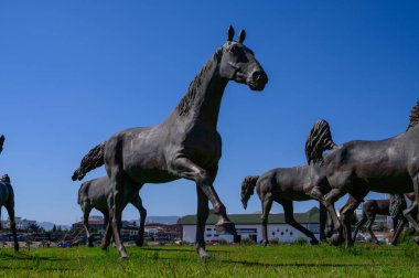 Kuzey Kıbrıs 'ta cami ve üniversite yakınlarındaki çimlerde bir grup bronz at heykeli. Modern gelenekle buluşur.