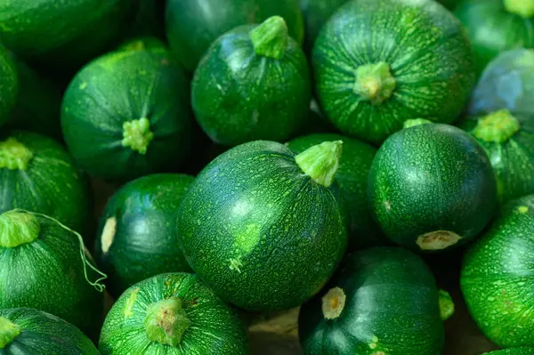 Dolgun bir çiftçi pazarında sergilenen renkli yuvarlak yeşil kabak dizisi, yazın ödüllerini gözler önüne seriyor..