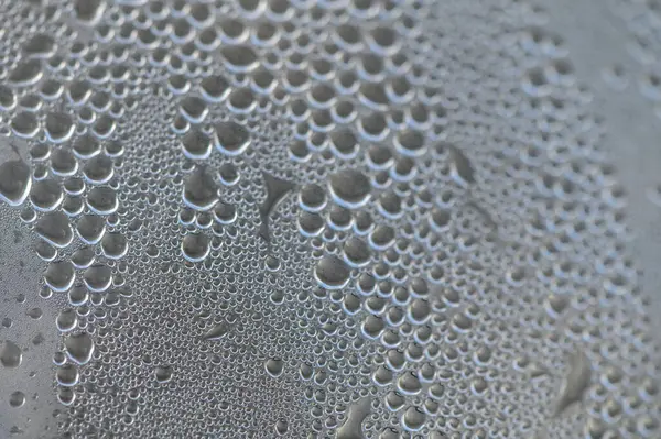 Küçük çiy damlaları serin bir yüzeyde toplanır, yumuşak sabah ışığını yansıtır ve doğanın karmaşık sanatını gözler önüne serer..