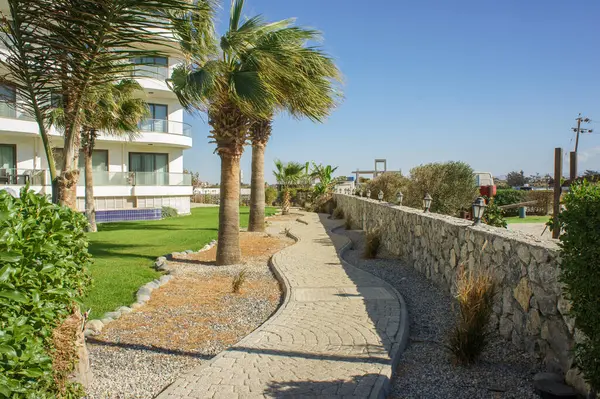 Bereketli yeşilliklerle çevrili dolambaçlı bir yol berrak mavi gökyüzünün altında huzurlu bir deniz kenarına götürür..