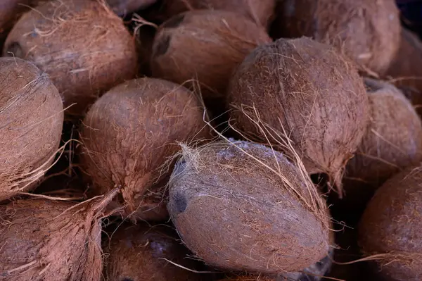 Kaba, kahverengi kabuklu hindistan cevizleri doğal dokularını ve enerjik enerjilerini sergiliyor. Çiftçi pazarı hevesli satıcıların ve canlı müşterilerin sesleriyle uğulduyor..
