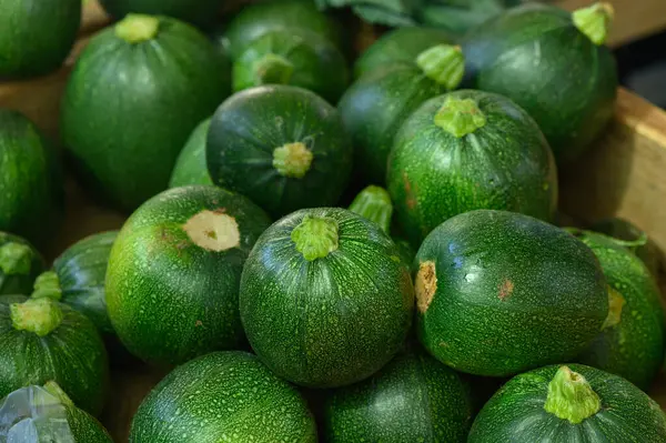 Canlı kabaklar ustalıkla istiflenmiş, parlak ciltlerini ve piyasada eşsiz yuvarlak şekillerini sergiliyorlar..