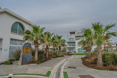 Palmiye ağaçları, bulutlu gökyüzünün altında rahatlatıcı bir kaçışa işaret eden, şık bir tatil yerine uzanan sakin bir patika oluşturur..