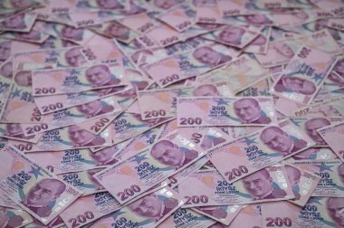 Banknotların canlı bir şekilde yayılması, finansal bir olay sırasında paranın karmaşık detaylarını gözler önüne seriyor..