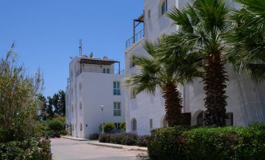 Kıbrıs 'ta Akdeniz kıyısı yakınlarında palmiye ağaçları olan modern beyaz konutlar.