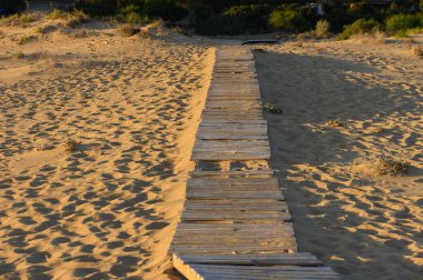 Kumun üzerinde uzanan ahşap bir yürüyüş yolu, ziyaretçileri alacakaranlıkta huzurlu bir sahile yönlendiriyor, yumuşak ışıkla aydınlatılıyor..