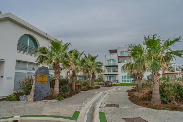 Palmiye ağaçları, bulutlu gökyüzünün altında rahatlatıcı bir kaçışa işaret eden, şık bir tatil yerine uzanan sakin bir patika oluşturur..