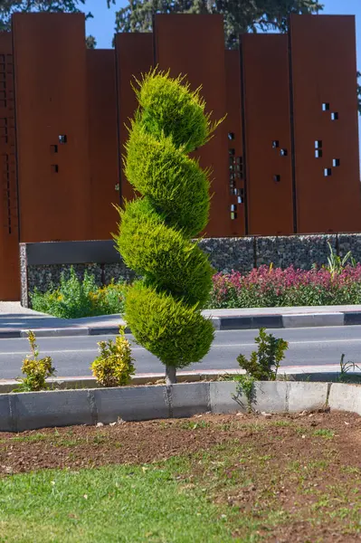 Benzersiz şekilli yeşil ağaç, peyzajlı bir alanda, modern mimarinin bir zeminine ve parlak güneş ışığı altında ışıl ışıl açan çiçeklere karşı sarmal büyüme modelini sergiliyor..
