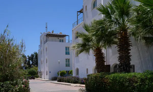 Kıbrıs 'ta Akdeniz kıyısı yakınlarında palmiye ağaçları olan modern beyaz konutlar.