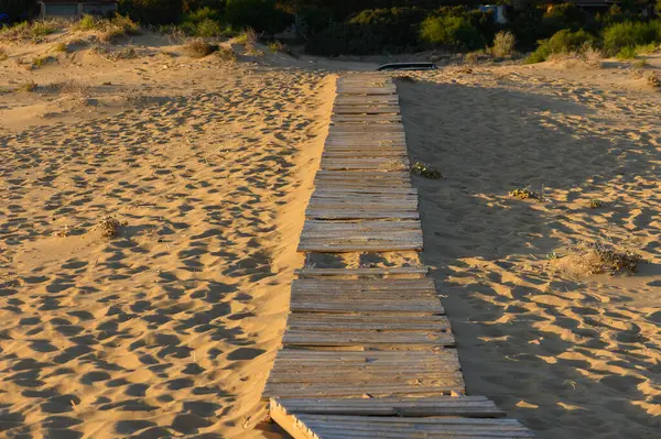 Kumun üzerinde uzanan ahşap bir yürüyüş yolu, ziyaretçileri alacakaranlıkta huzurlu bir sahile yönlendiriyor, yumuşak ışıkla aydınlatılıyor..