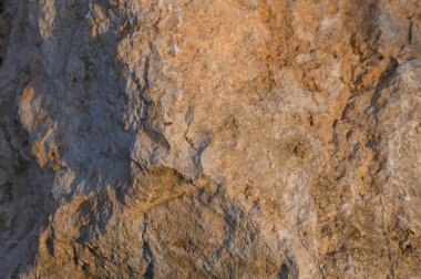 Dokulu bir kaya yüzeyi karmaşık desenleri ve yumuşak günbatımı ışığıyla aydınlatılan ılık toprak tonlarını ortaya çıkarır..