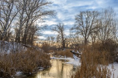 Donmuş nehir, alacakaranlıkta renkli bir kış gökyüzünün altında altın kamışların arasından yavaşça akar ve sakin bir atmosfer yaratır..