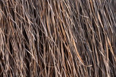 Güneş ışığı, kurumuş samanların narin iplikçiklerine, karmaşık dokulara ve sıcak toprak tonlarına altın bir parıltı saçar. Bu köy manzarası huzur ve doğal güzelliği çağrıştırıyor..