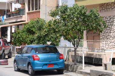 Canlı mavi bir araç, güneşli bir günde yeşil meyvelerle bezenmiş, büyüleyici binalar ve canlı bir atmosferle çevrili yemyeşil bir ağacın yanında duruyor..