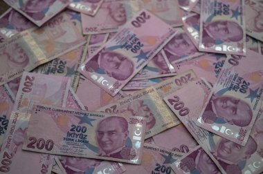 Sayısız Türk banknotu bir yüzeye yayılarak canlı pembe tonlarını ve karmaşık tasarımlarını vurguluyor.