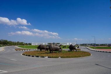 Kuzey Kıbrıs 'taki üniversite binalarının önündeki yeşil çimlerde metal boğa heykelleri. Eğitim ortamında modern halk sanatı.