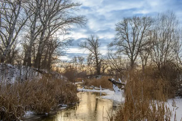 Donmuş nehir, alacakaranlıkta renkli bir kış gökyüzünün altında altın kamışların arasından yavaşça akar ve sakin bir atmosfer yaratır..