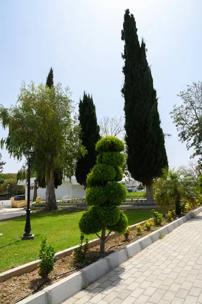 Sakin bir bahçede, titizlikle şekillenmiş ağaçlar ve canlı yeşillikler parlak öğle güneşinin altında davetkar bir atmosfer yaratır..