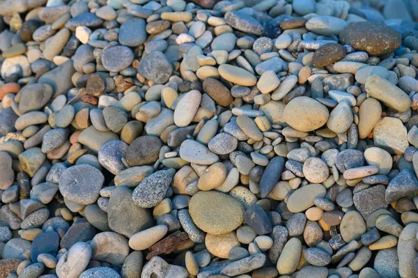 Pürüzsüz, çeşitli şekil ve boyutlarda renkli çakıl taşları sıcak güneş ışığı altında sakin bir nehir kenarı manzarası yaratır..