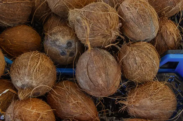 Taze toplanmış hindistan cevizleri yüksek, kabukları canlı bir pazar atmosferinde doğanın güzelliğini gösteriyor..