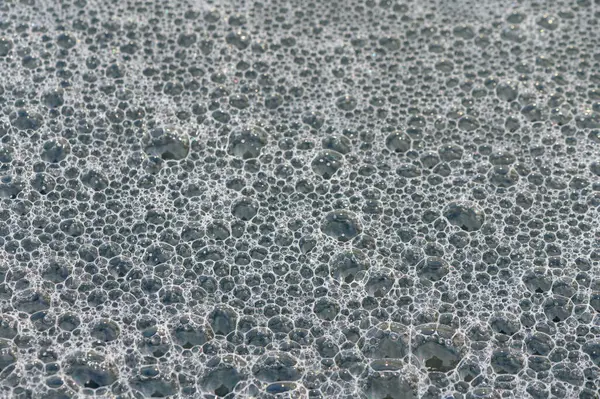 Yumuşak kabarcıklar su yüzeyinde yükselir ve dans eder, kıyı şeridinde yeni bir günün yumuşak ışığını yansıtır.