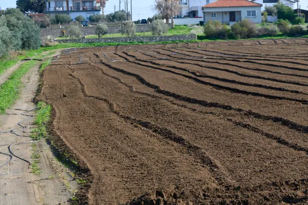 Bereketli toprak, güneş huzurlu kırsal bölgelerde parlarken ekime hazır..