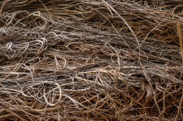 Doğal lifler iç içe geçer, eşsiz dokularını ve güneş ışığındaki topraksı tonlarını vurgular..