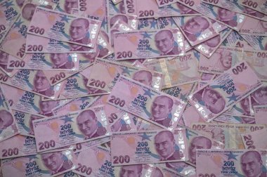 Türk banknot yığınları, her banknottaki karmaşık tasarımlar ve önemli rakamların altını çizerek canlı bir görüntü yaratıyor.