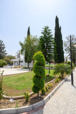 Bereketli yeşil bitkiler ve titiz şekilli ağaçlar huzurlu bir parkta, dinlenmek isteyen ziyaretçiler için sakin bir atmosfer sunuyor ve ılık güneşin altında güzellik arıyor..