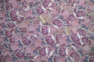 Sayısız banknot, paranın ve tasarımın değerini kutlayan renk ve dokulardan oluşan göz alıcı bir mozaik oluşturuyor..